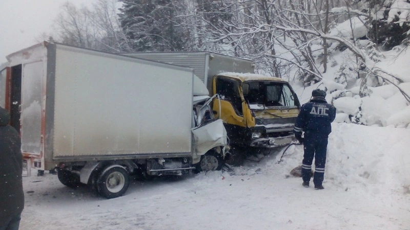 На трассе Южно-Сахалинск – Холмск погиб водитель грузовика