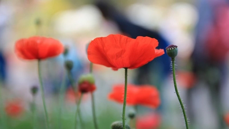 Церковный праздник 16 июля 2024: что нельзя делать в этот день, приметы