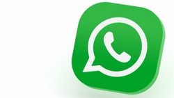 В Госдуме отрицают подозрения СМИ о блокировке WhatsApp 