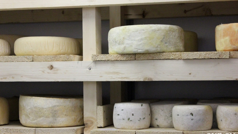 Сахалинская сыроварня станет резидентом будущего агропарка