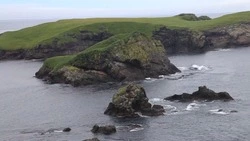 Переход на газ и открытие карбоновых полигонов. Среда обитания 15.09.22