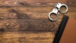 Житель Смирныховского района предстанет перед судом за хранение более килограмма пороха