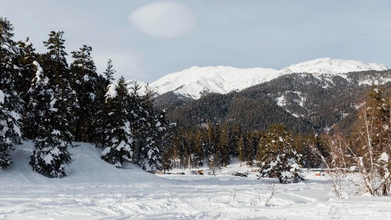Штормовой ветер и до −27 градусов: прогноз погоды на Сахалине и Курилах на 12 декабря