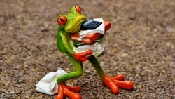 Орехи и зелень помогут снять стресс: советы диетолога о правильном питании