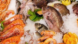 Рост экспорта рыбной продукции на 16,9 % зарегистрировали на Сахалине в 2022 году