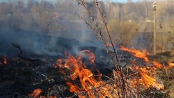 Сухая трава вспыхнула в Александровске-Сахалинском вечером 6 апреля