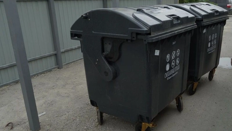 Ультразвук против крыс: как борются с вредителями на мусорках в Южно-Сахалинске