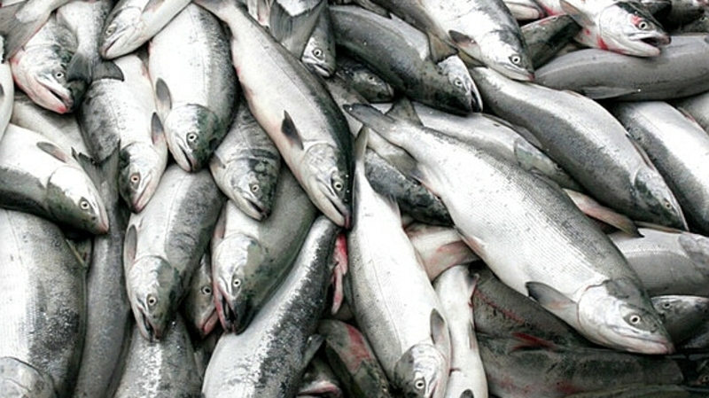 Не данные, а фантастика