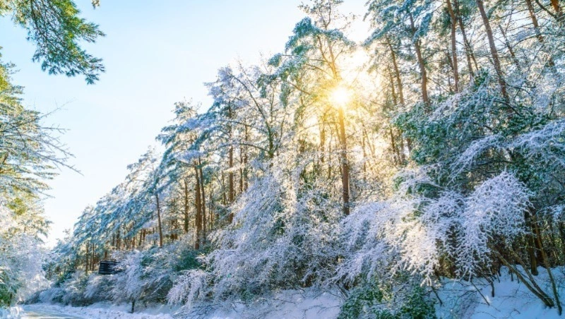 Солнечно и минус 4 градуса будет в Южно-Сахалинске 23 декабря