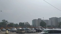 Запах гари и смог опустился на столицу Сахалина. На материке полыхает лес