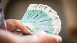 Депутаты Госдумы направят в кабмин предложение о введении зарплаты для мам