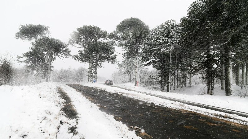 Движение на дороге Южно-Сахалинск – Корсаков ограничили на время циклона