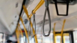 Водителя маршрута №19 обвинили в нелегальном заработке в Южно-Сахалинске