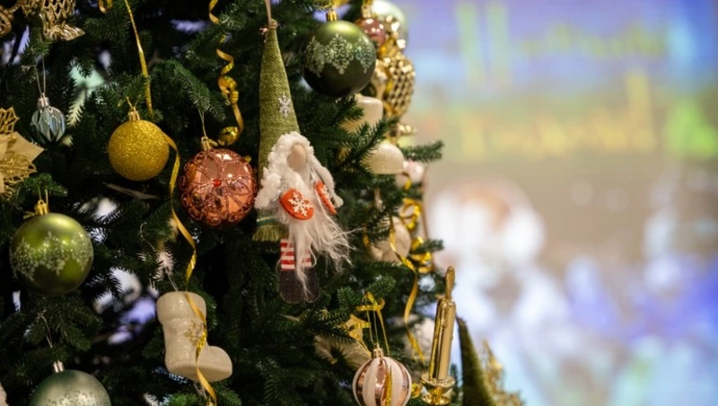 Новый 2026 год на Сахалине начнется со снега, а на Курилах ожидается штормовой ветер