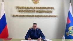 Заместитель Генпрокурора России поручил решить проблемы жителей ДВФО