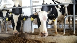 Модернизация сельского хозяйства вызвала у сахалинских депутатов много вопросов