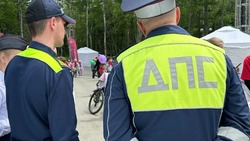 Жительница Анивского района оскорбляла и била инспектора ДПС