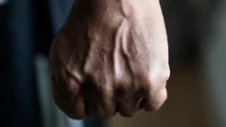 Пьяный мужчина шумел в доме и полез с кулаками к полицейскому в Южно-Сахалинске 