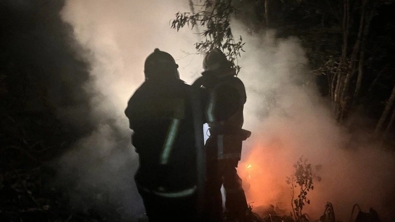 Пожарные Сахалина потушили возгорание в СНТ «Овощевод»