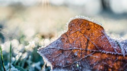 Мороз и сильное давление: прогноз погоды в Сахалинской области на 2 ноября