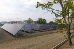 Эксперимент даёт плоды