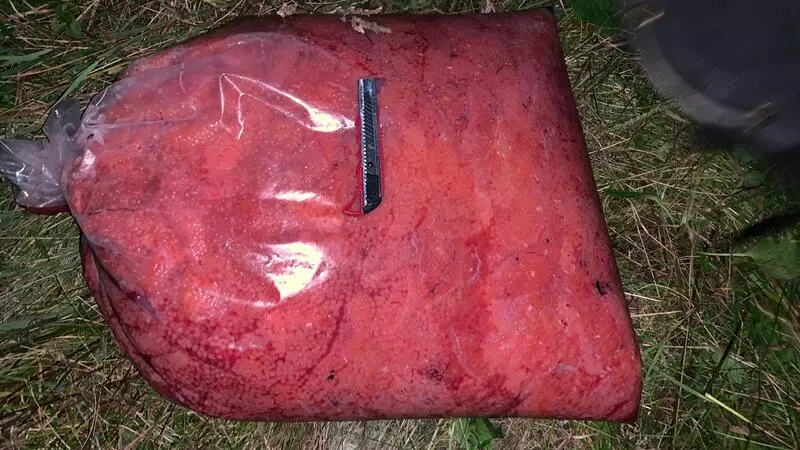 В последний день августа пограничники нашли на Сахалине тайник с красной икрой