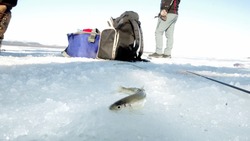 Рыбакам на Сахалине разрешили выход на лед в заливе Мордвинова 11 февраля 