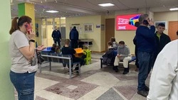 Сахалин накрыла волна гриппа