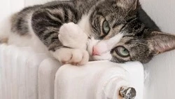 Сотни жителей Южно-Сахалинска останутся без отопления 18 ноября 