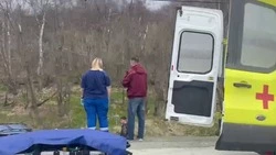 «Тачка в хлам»: серьезное ДТП произошло на сахалинской трассе до Охотского