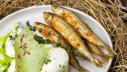  Гастрофестиваль «НаВажный fest» пройдет на Сахалине с 9 по 25 февраля