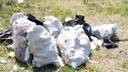 Жителей Невельского района разозлила мусорная свалка в сквере у Дома культуры