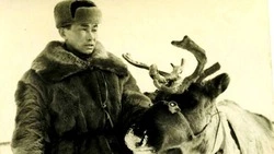 Оленеводческий танк «Вал»