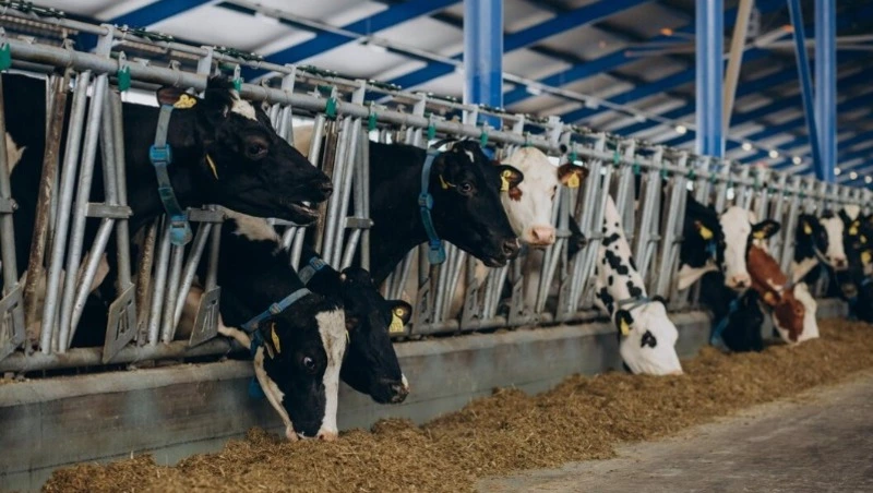 На Сахалине минсельхоз отсудил у местного кооператива 30 млн рублей выигранного гранта