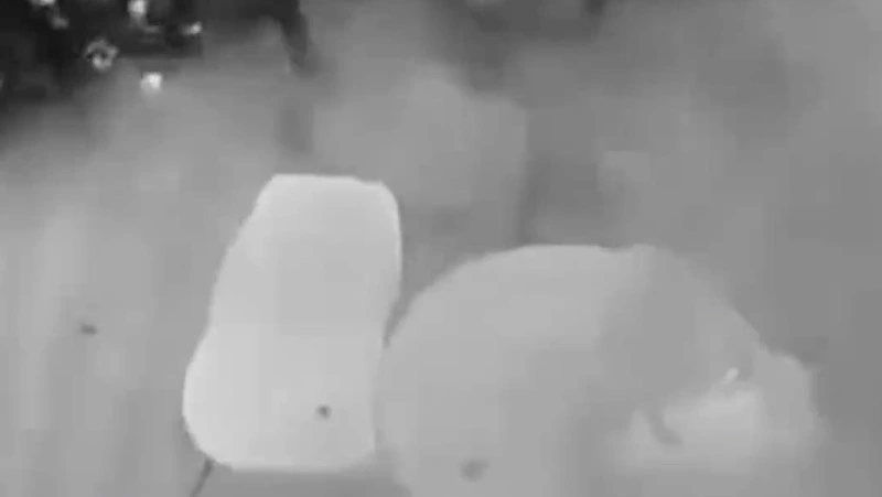 В Петербурге пенсионерка запустила фейерверк в банке ради мести мошенникам