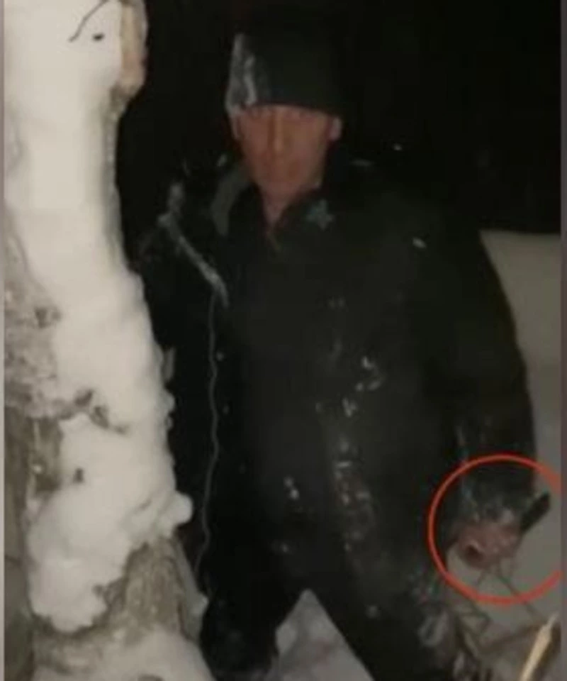 Полиция проверяет информацию о мужчине с ножом в районе Ласточки