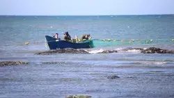 Рыбаки Сахалина планируют добыть 37 тысяч тонн кеты и горбуши в 2026 году