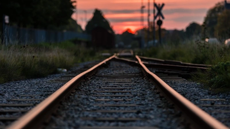 Стало известно, когда Россия полностью откажется от иностранных поездов