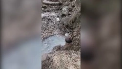 В селе Новом ввели режим повышенной готовности из-за подтоплений