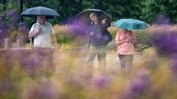День Победы над Японией в Южно-Сахалинске пройдет под дождем
