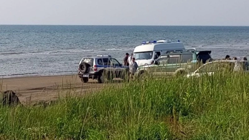 Девушка на Mark II сбила 4-летнего ребенка на пляже в Александровске-Сахалинском