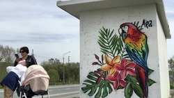 Новый стрит-арт c птицей украсил Южно-Сахалинск