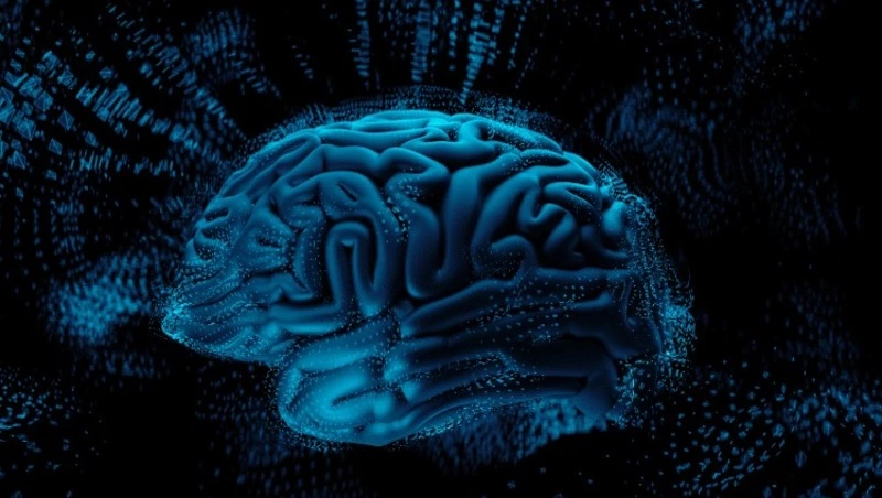 Тест на интеллект: вам хватит знаний, чтобы набрать 7/7?