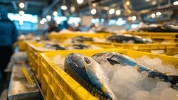 Свыше 32 тысяч тонн рыбы отправили на экспорт с Сахалина и из Приморья за неделю