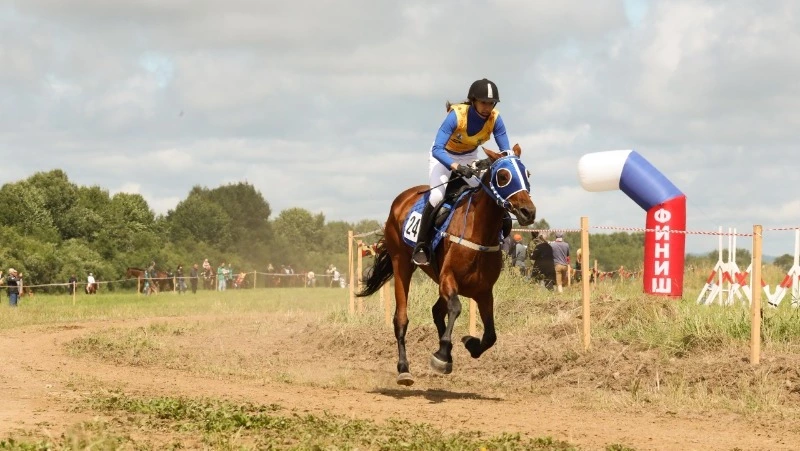 Лучших наездников острова определят на «Золотой подкове Сахалина»