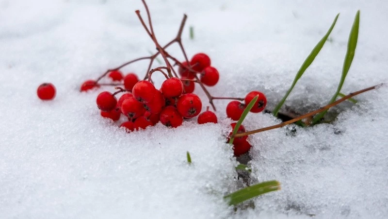 Морозы ударят по Сахалину и Курилам 9 декабря