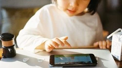 Житель Южно-Сахалинска ответит в суде за кражу телефона у доверчивого ребенка