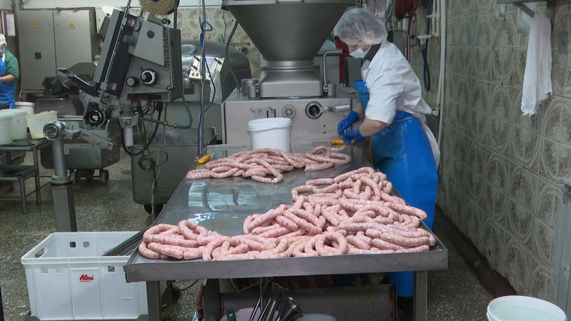 Сельсовет. Выпуск от 23 ноября