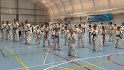 Чемпион Европы «прокачал» сахалинских каратистов