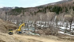 Суд: развитие сахалинского «Горного воздуха» не повредило краснокнижной лилии 